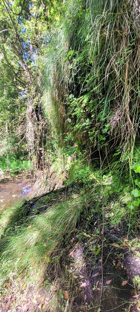 Levada da Fonte Grande — A Madre da Levada da Fonte Grande — foto 6