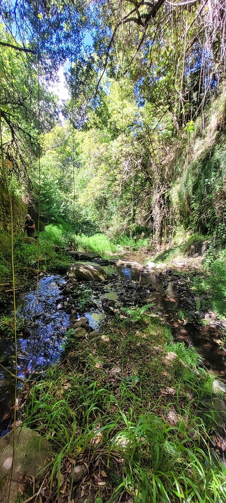 Levada da Fonte Grande — A Madre da Levada da Fonte Grande — foto 9