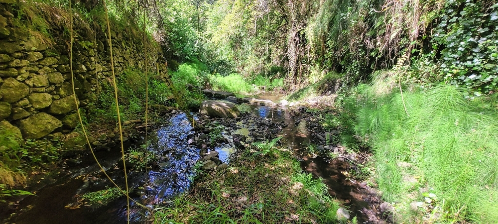 Levada da Fonte Grande — A Madre da Levada da Fonte Grande — foto 10