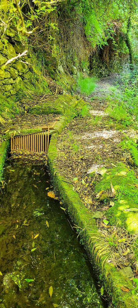 Levada da Fonte Grande — A Madre da Levada da Fonte Grande — foto 12