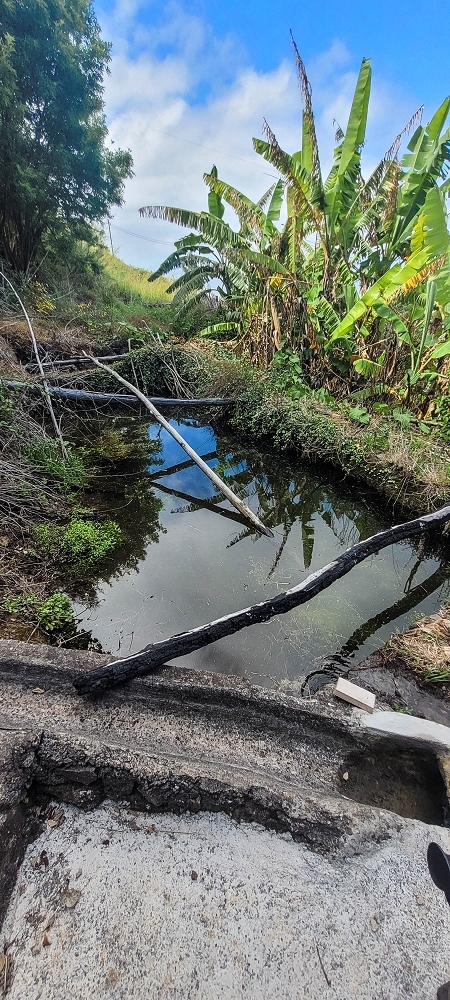 Levada da Fonte Grande — Moinho da Laje — foto 5