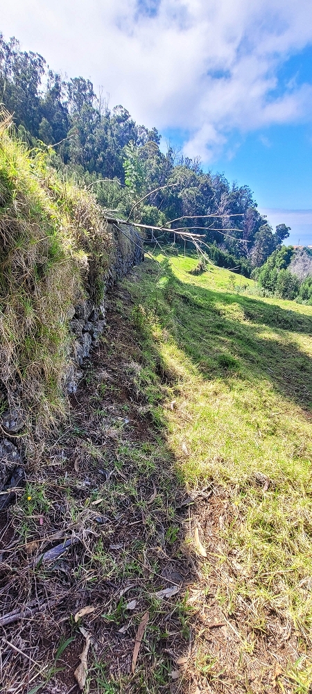 Levada da Fonte Grande — Os dois troços de prado — foto 4