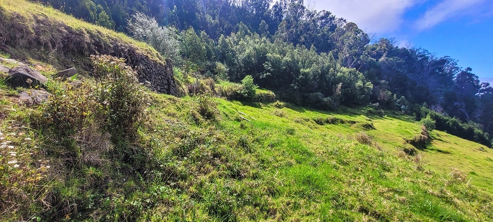 Levada da Fonte Grande — Os dois troços de prado — foto 5