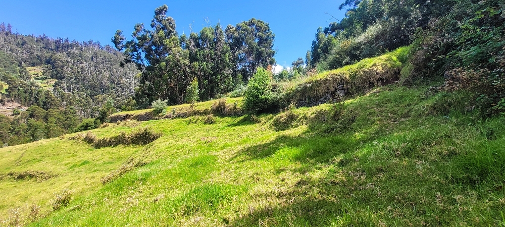 Levada da Fonte Grande — Os dois troços de prado — foto 6