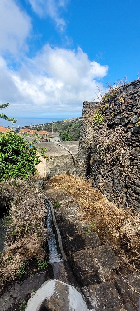 19 June 2022 Three short walks in Calheta — Moinho da Laje — photo 6