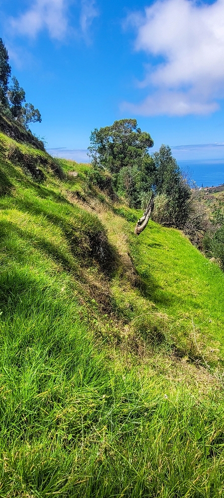 Levada da Fonte Grande — Os dois troços de prado — foto 8