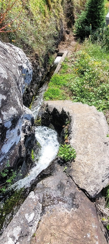 Levada da Fonte Grande — O curto troço a céu aberto da Levada da Fonte Grande — foto 5
