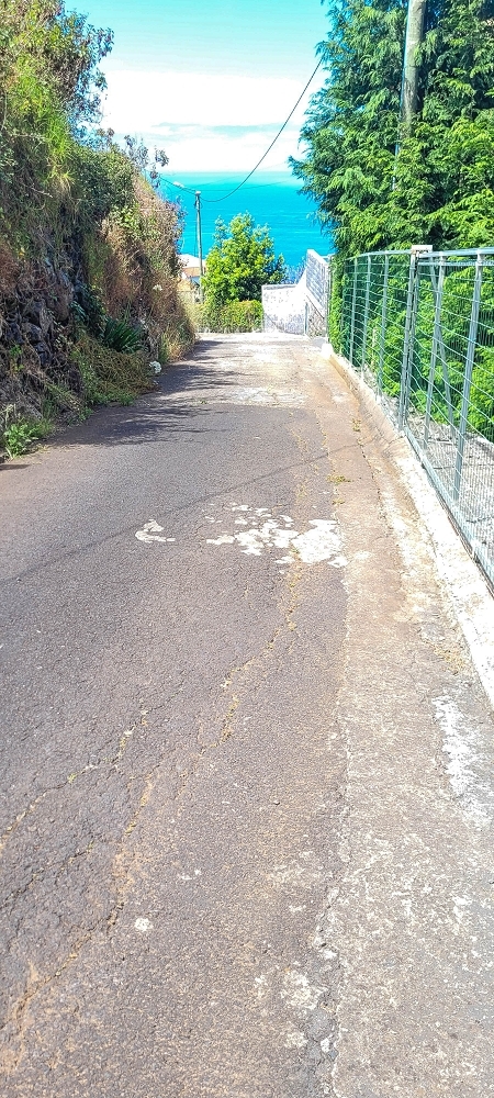 19 June 2022 Three short walks in Calheta — Back to the starting point — photo 22
