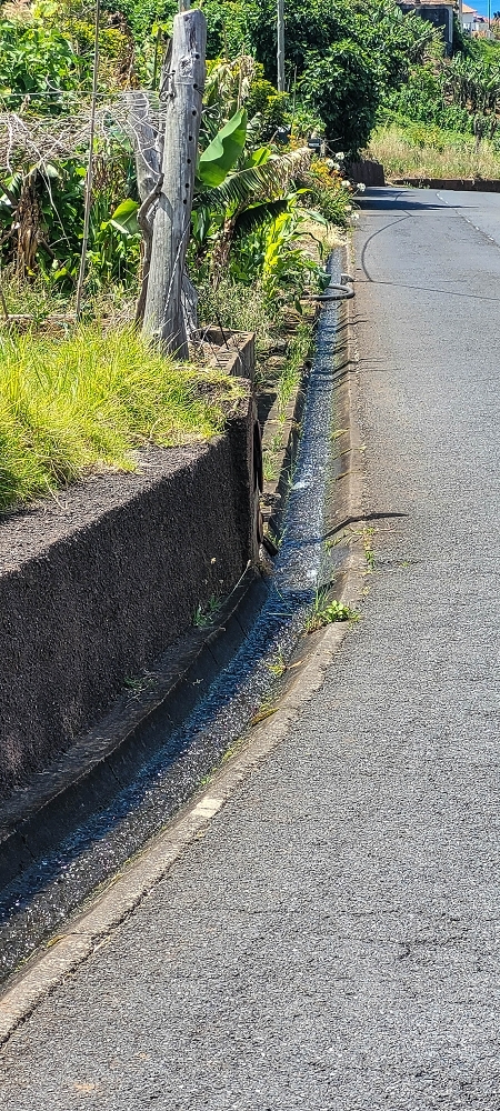 Levada da Fonte Grande — Os ramos finais da Levada da Fonte Grande — foto 1
