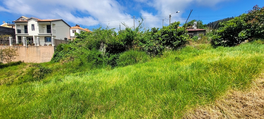 Moinho do Ribeiro — Foto 1