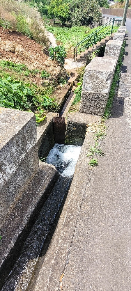 Levada da Fonte Grande — Os ramos finais da Levada da Fonte Grande — foto 2