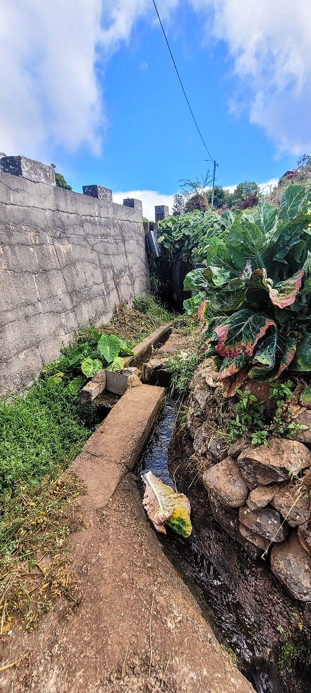 Levada da Fonte Grande — Os ramos finais da Levada da Fonte Grande — foto 7