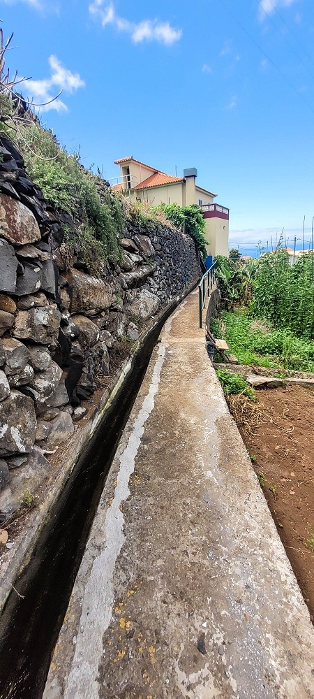 Levada da Fonte Grande — Os ramos finais da Levada da Fonte Grande — foto 9