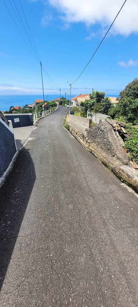 Levada da Fonte Grande — Os ramos finais da Levada da Fonte Grande — foto 10