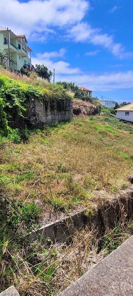 Levada da Fonte Grande — Os ramos finais da Levada da Fonte Grande — foto 11