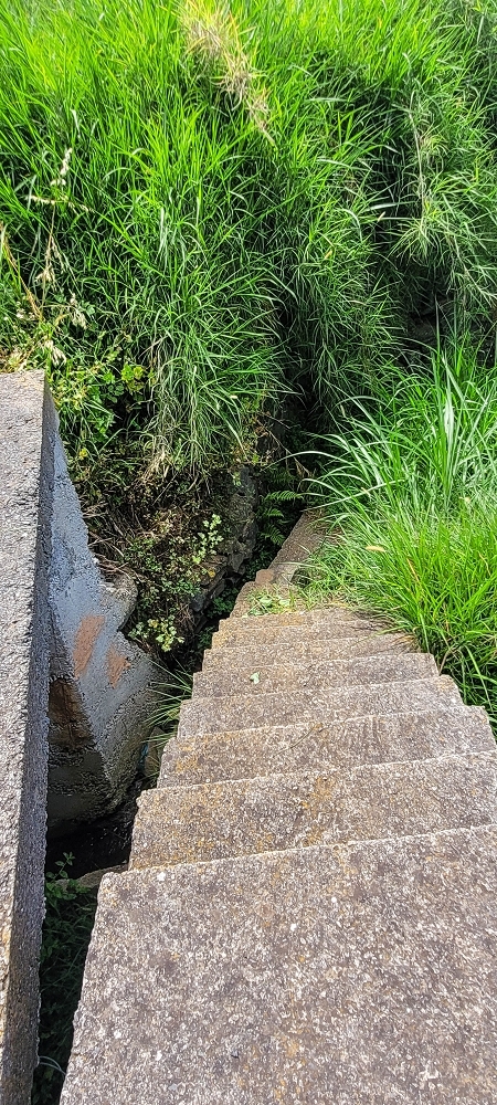 Levada da Fonte Grande — Os ramos finais da Levada da Fonte Grande — foto 12
