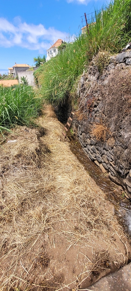Levada da Fonte Grande — Os ramos finais da Levada da Fonte Grande — foto 15
