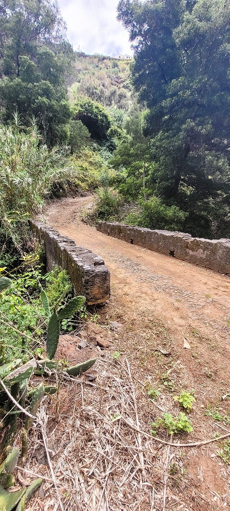 19 June 2022 Three short walks in Calheta — Ribeira de Sao Bartolomeu — photo 2