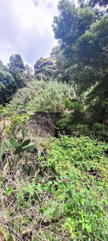 19 June 2022 Three short walks in Calheta — Ribeira de Sao Bartolomeu — photo 3
