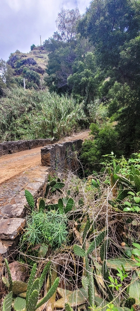 19 June 2022 Three short walks in Calheta — Ribeira de Sao Bartolomeu — photo 4