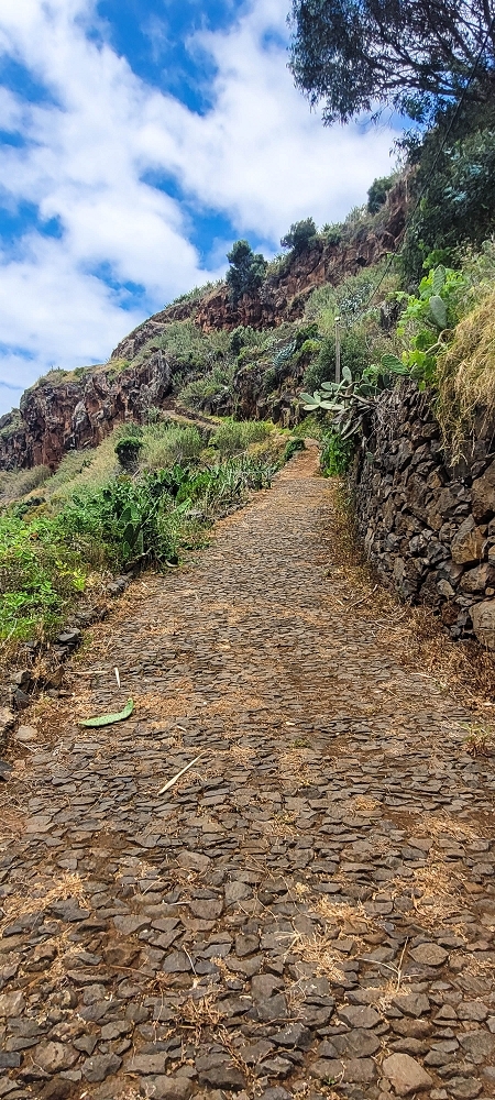 19 June 2022 Three short walks in Calheta — Ribeira de Sao Bartolomeu — photo 5
