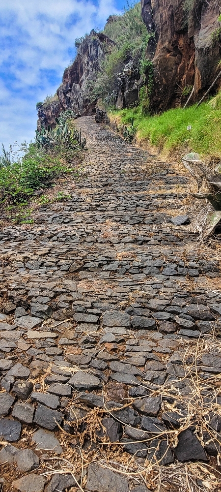 19 June 2022 Three short walks in Calheta — Ribeira de Sao Bartolomeu — photo 6