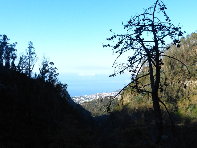 19 July 2015 Escadinhas do Menino Jesus — From Corujeira to the Centro Tematico da Agua — photo 10