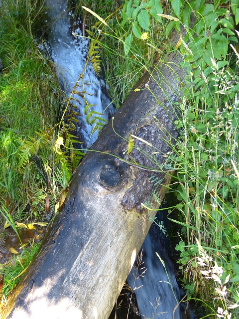 19 July 2015 Escadinhas do Menino Jesus — On the Levada do Barreiro — photo 3