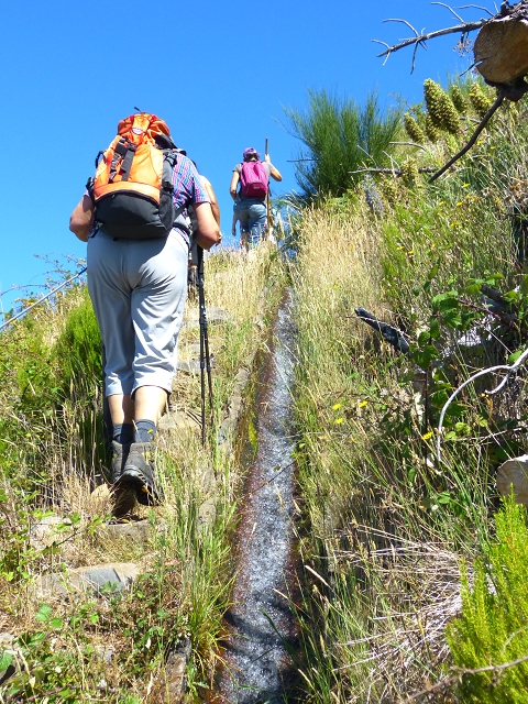 19 July 2015 Escadinhas do Menino Jesus — On the Levada do Barreiro — photo 4