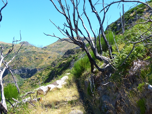 19 July 2015 Escadinhas do Menino Jesus — On the Levada do Barreiro — photo 5