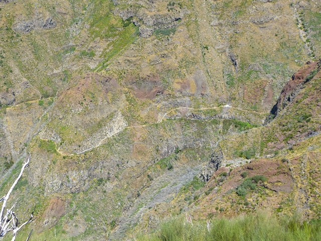 19 July 2015 Escadinhas do Menino Jesus — On the Levada do Barreiro — photo 6