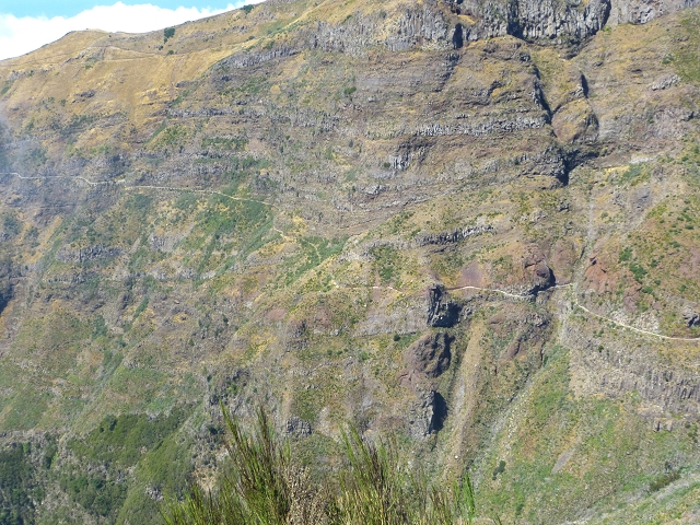 19 July 2015 Escadinhas do Menino Jesus — On the Levada do Barreiro — photo 8