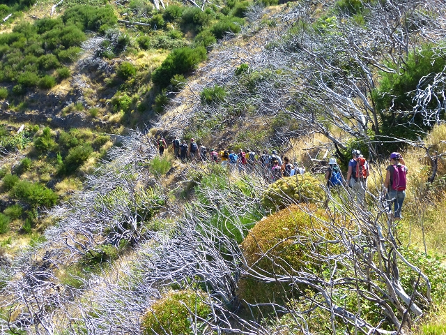 19 July 2015 Escadinhas do Menino Jesus — On the Levada do Barreiro — photo 9