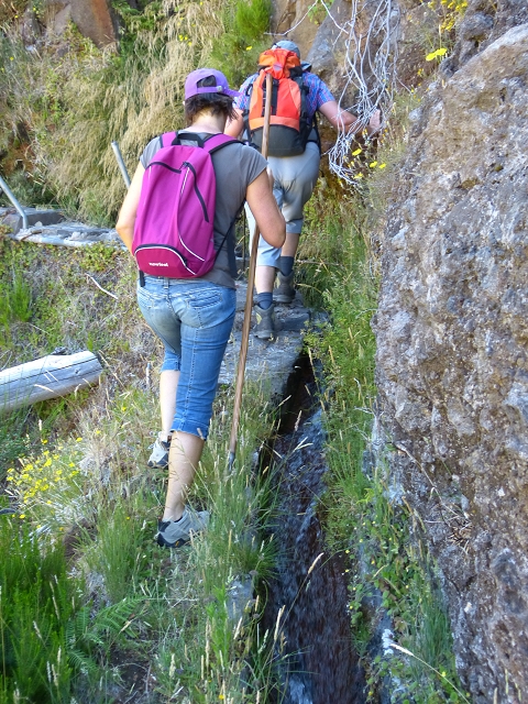 19 July 2015 Escadinhas do Menino Jesus — On the Levada do Barreiro — photo 10