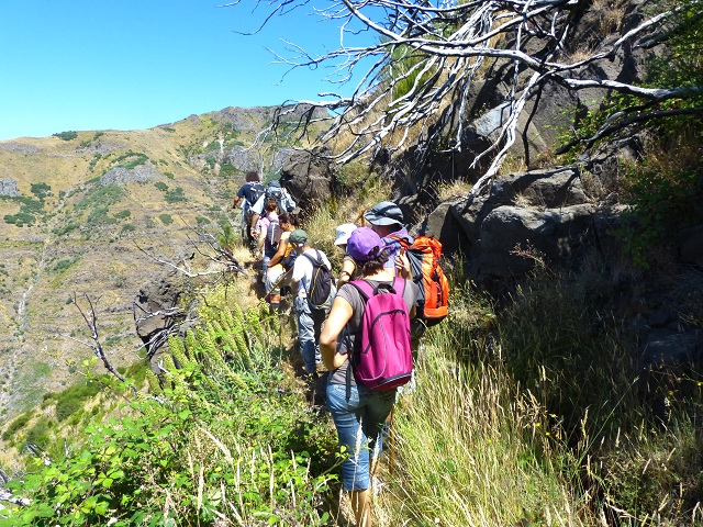 19 July 2015 Escadinhas do Menino Jesus — On the Levada do Barreiro — photo 11
