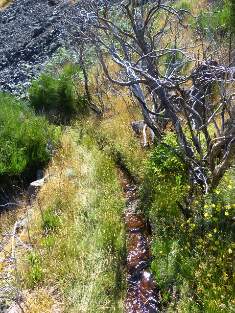 19 July 2015 Escadinhas do Menino Jesus — On the Levada do Barreiro — photo 16