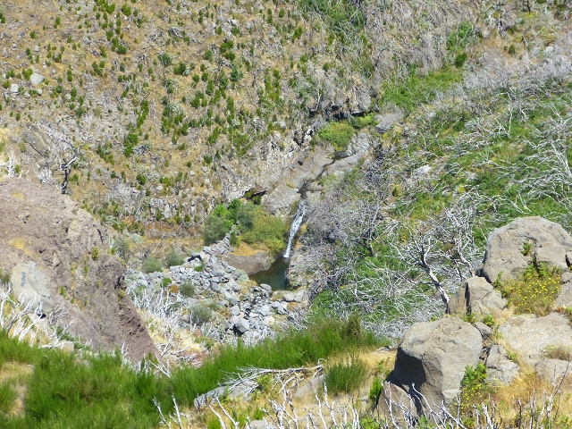 19 July 2015 Escadinhas do Menino Jesus — On the Levada do Barreiro — photo 17