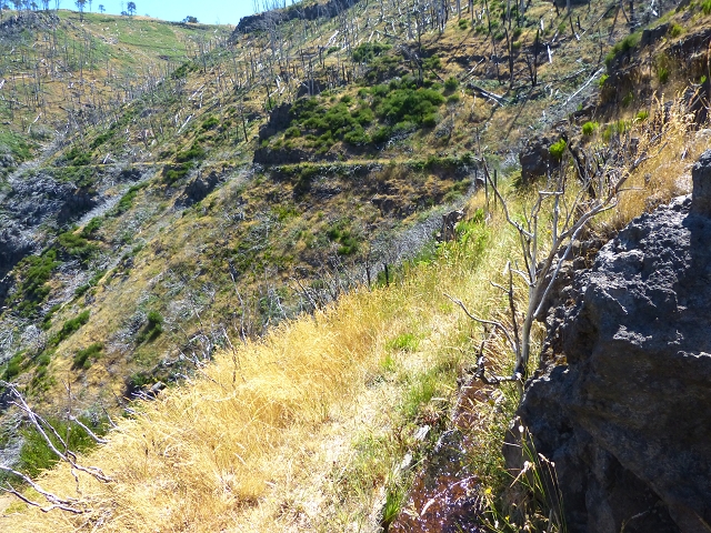 19 July 2015 Escadinhas do Menino Jesus — On the Levada do Barreiro — photo 18