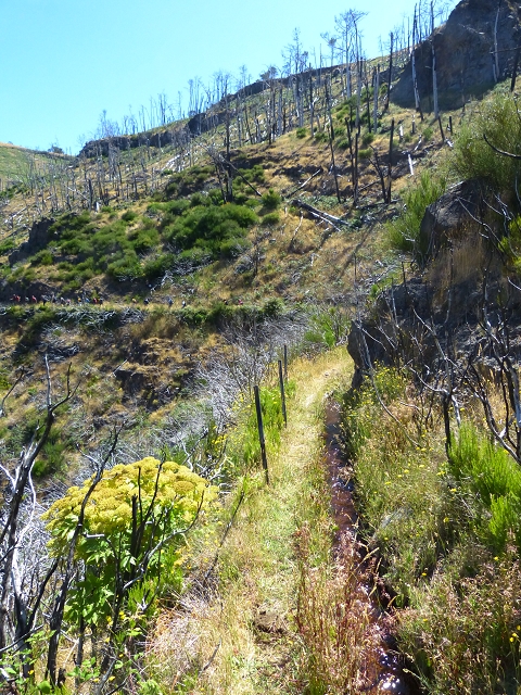 19 July 2015 Escadinhas do Menino Jesus — On the Levada do Barreiro — photo 19
