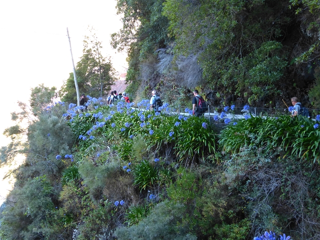 19 July 2015 Escadinhas do Menino Jesus — From Corujeira to the Centro Tematico da Agua — photo 12