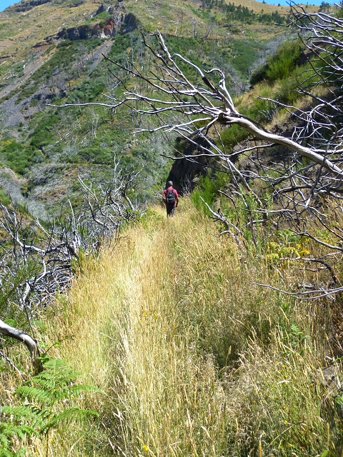 19 July 2015 Escadinhas do Menino Jesus — On the Levada do Barreiro — photo 23