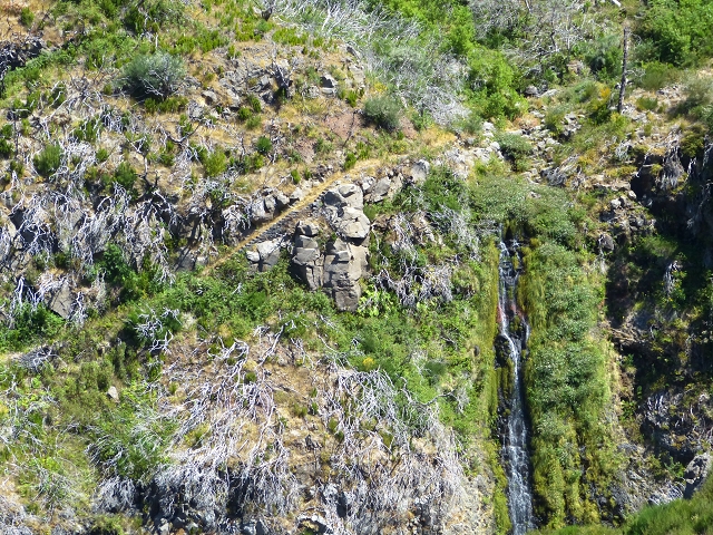 19 July 2015 Escadinhas do Menino Jesus — On the Levada do Barreiro — photo 25