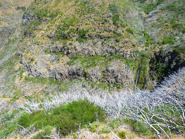 19 July 2015 Escadinhas do Menino Jesus — On the Levada do Barreiro — photo 26