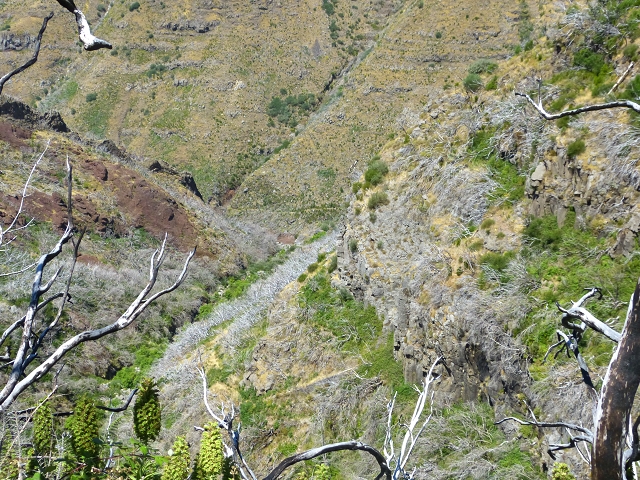 19 July 2015 Escadinhas do Menino Jesus — On the Levada do Barreiro — photo 29
