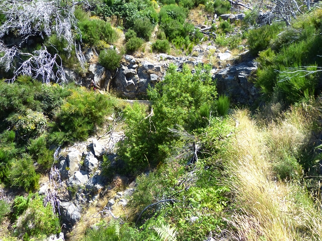 19 July 2015 Escadinhas do Menino Jesus — On the Levada do Barreiro — photo 30