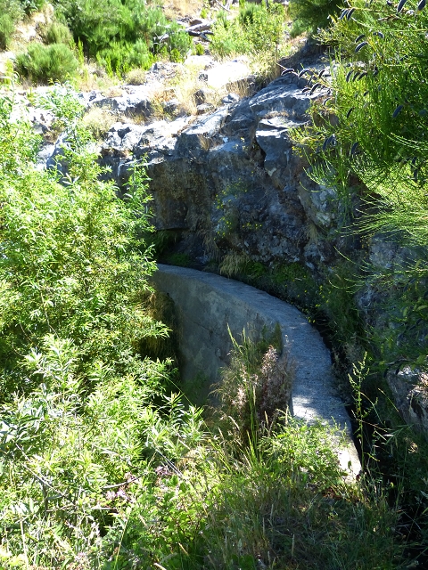 19 July 2015 Escadinhas do Menino Jesus — On the Levada do Barreiro — photo 31