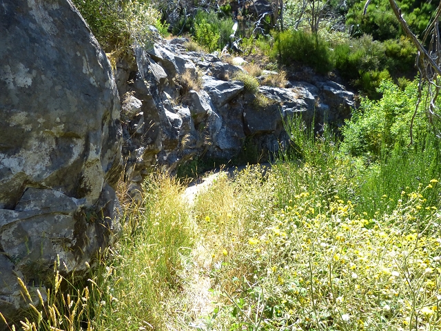 19 July 2015 Escadinhas do Menino Jesus — On the Levada do Barreiro — photo 33