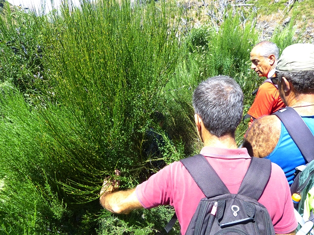 19 July 2015 Escadinhas do Menino Jesus — On the Levada do Barreiro — photo 35
