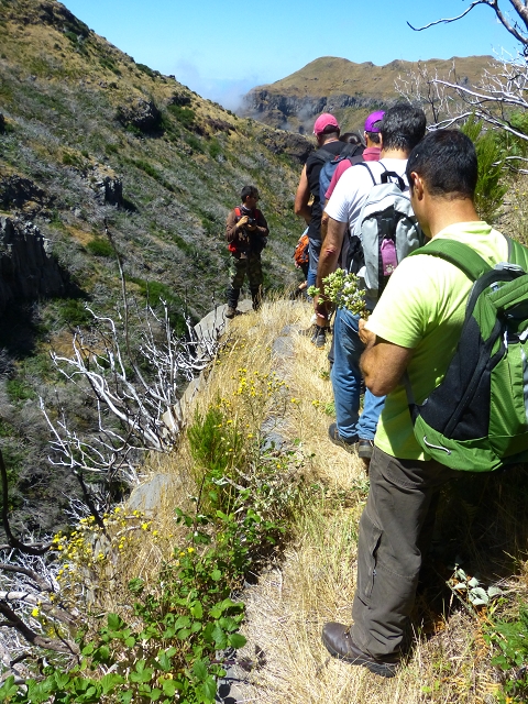19 July 2015 Escadinhas do Menino Jesus — Descent to the Madre of the Levada da Serra da Alegria inf. — photo 3