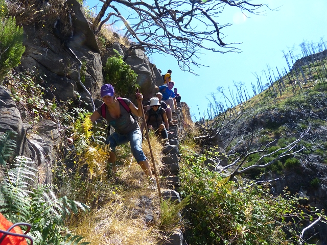 19 July 2015 Escadinhas do Menino Jesus — Descent to the Madre of the Levada da Serra da Alegria inf. — photo 4